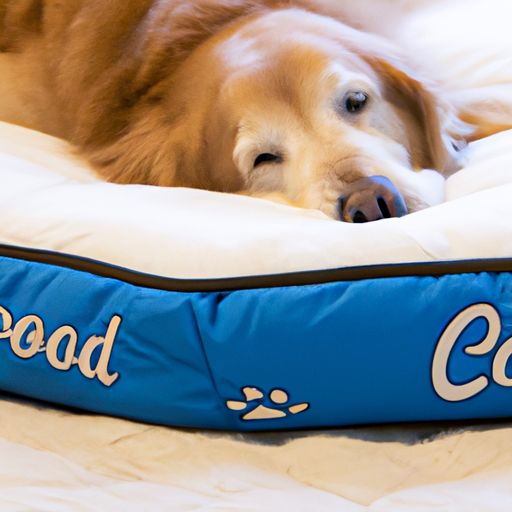 גולדן רטריבר שוכב בנוחות על מיטת כלב גדולה, מדגים את חשיבות גודל המיטה.